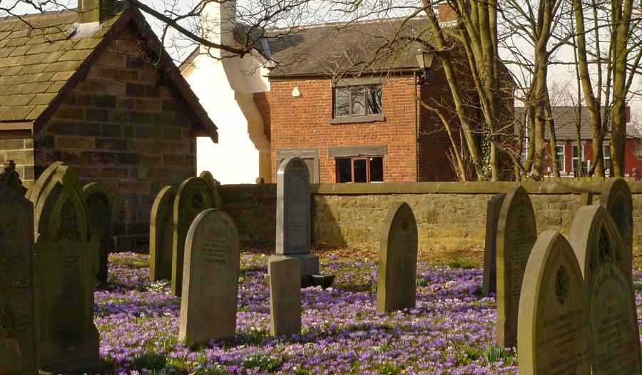 Crocus Sunday 2019 - and local history walk