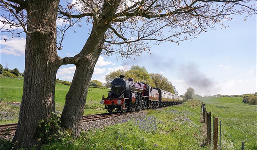 Spring Steam Gala