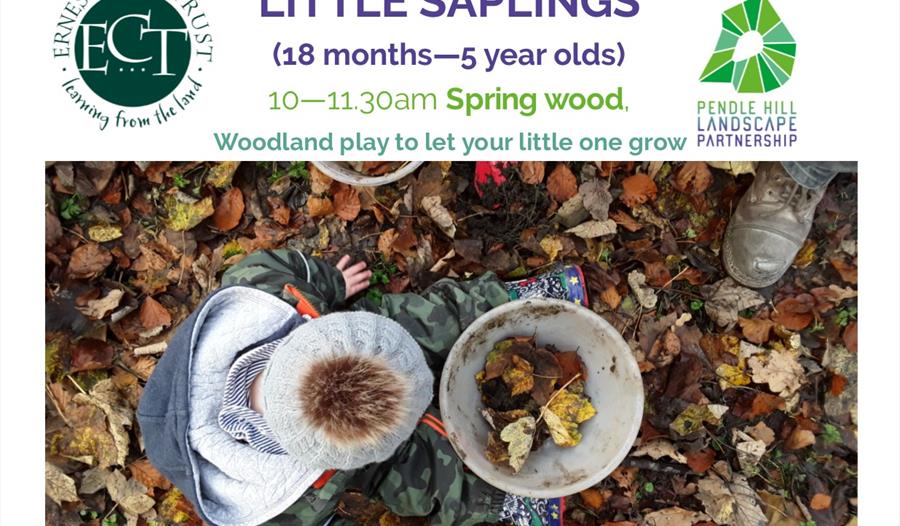 Little Saplings