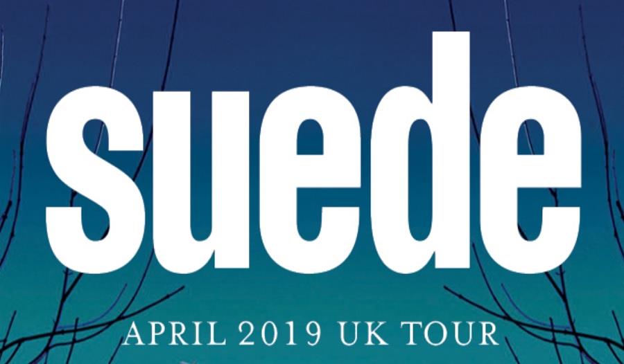 Suede