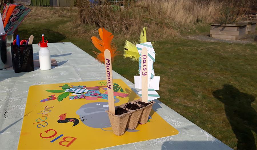 Nature Tots at Heysham Nature Reserve