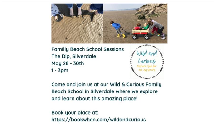 Wild & Curious Family Beach School