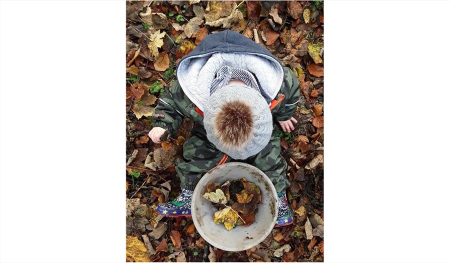 Festival Bowland 2020 - Free Family Nature Event: Minibeast Madness *POSTPONED*