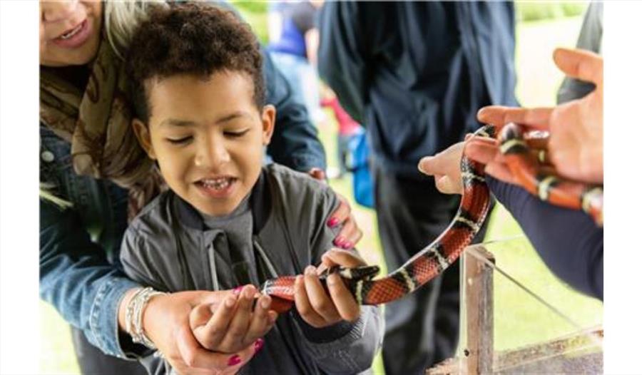 North West Reptile Club