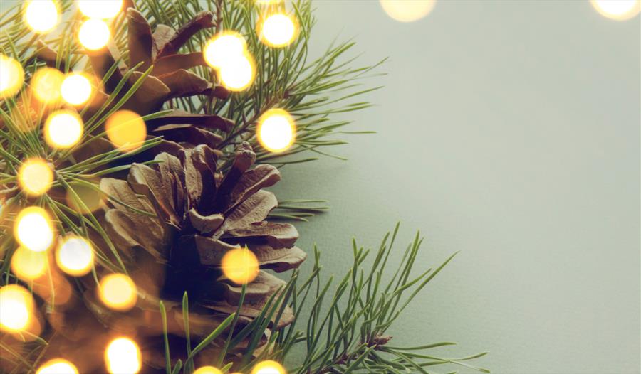 An Enchanted Christmas Concert