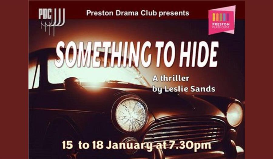 Something to Hide by Leslei Sands