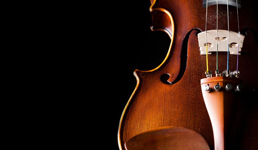 Violinist Jonny Hoyle Performance