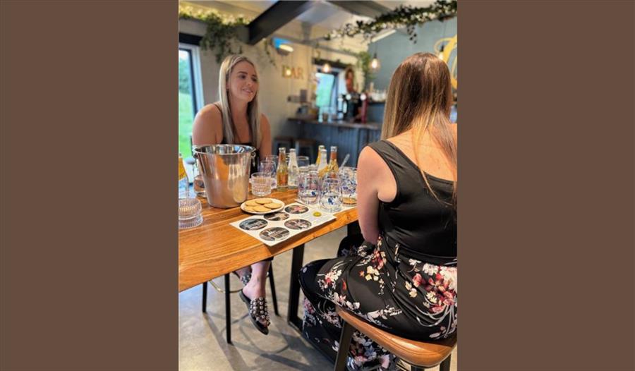 Wild Fox Gin Tasting Night