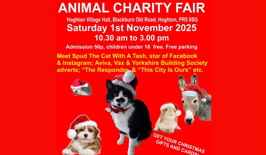 Animal Charity Fair