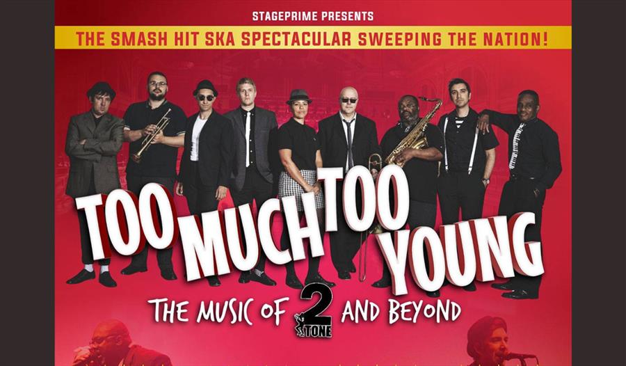 Too Much Too Young