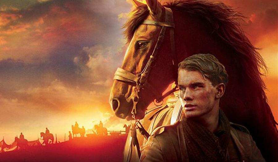 War Horse (12)