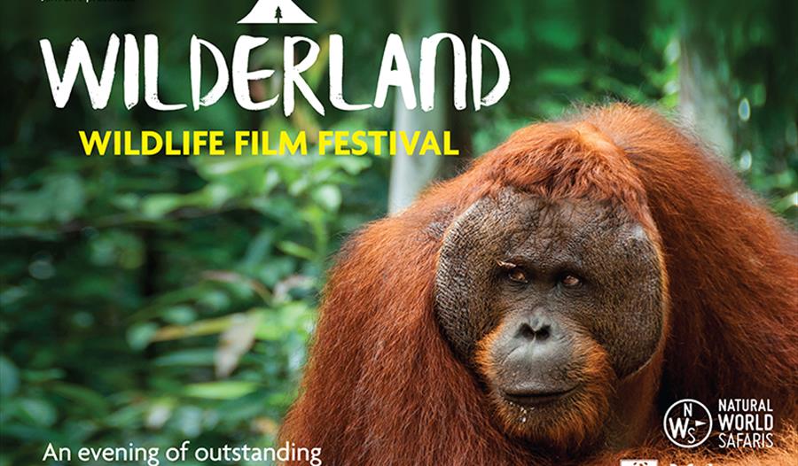 Wilderland Wildlife Film Festival - Morecambe