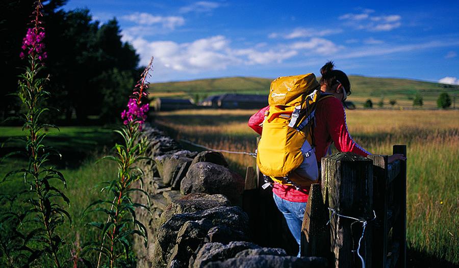 Winewall Circular Walks