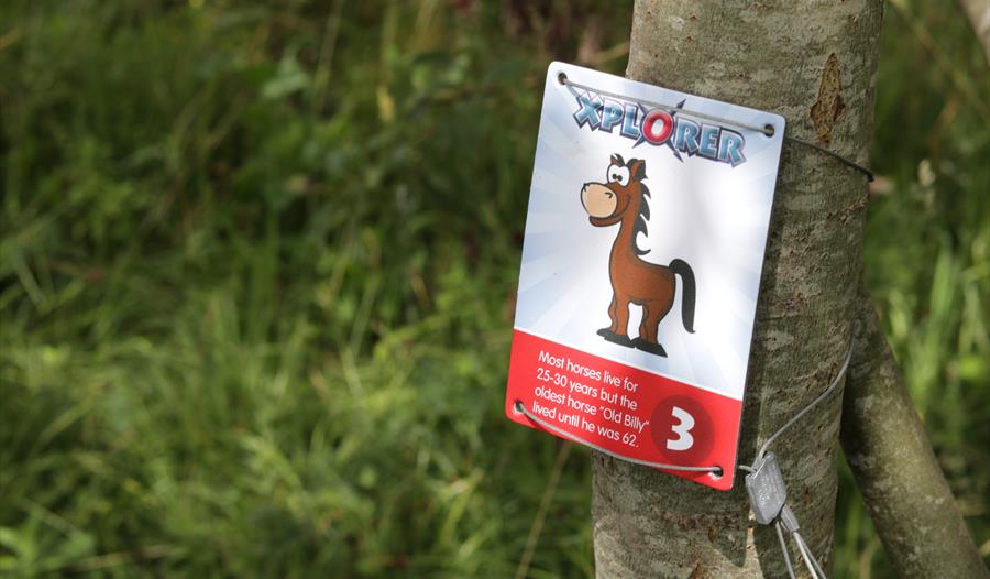 Xplorer Challenge