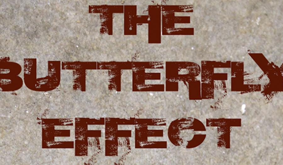 The Butterfly Effect
