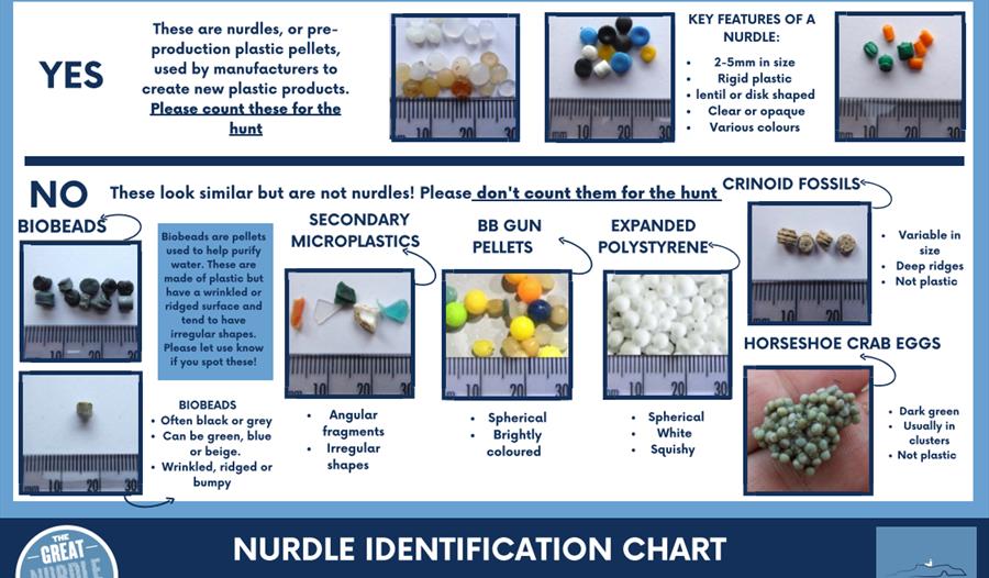 Nurdle Identification Chart