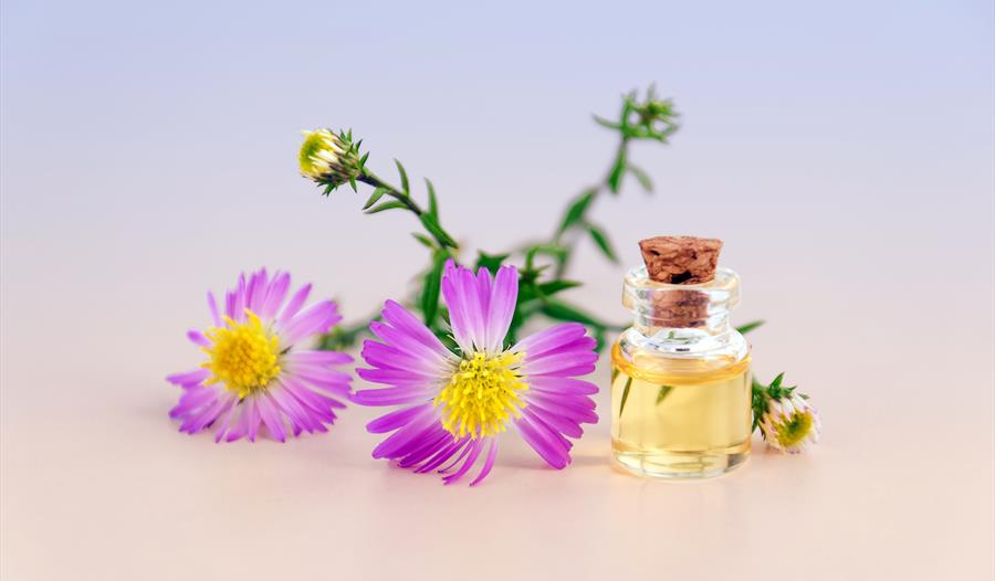 Homemade Natural Perfumery Class