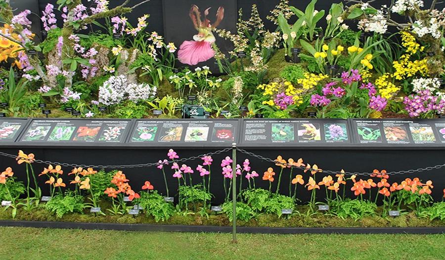 The North of England Orchid Society