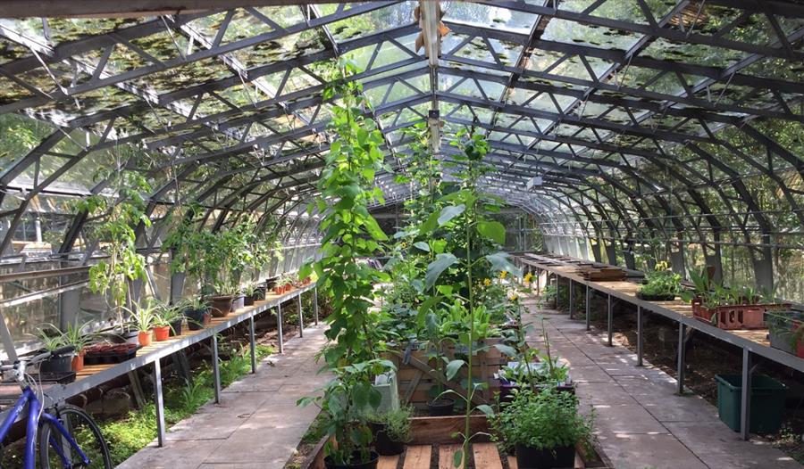 Good to Grow Day at The Greenhouse Project