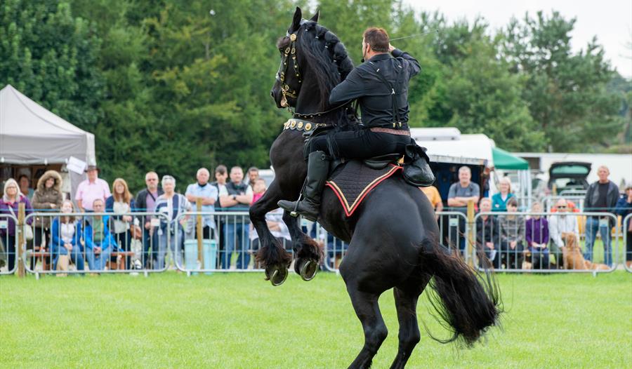 Lancashire Game and Country Festival