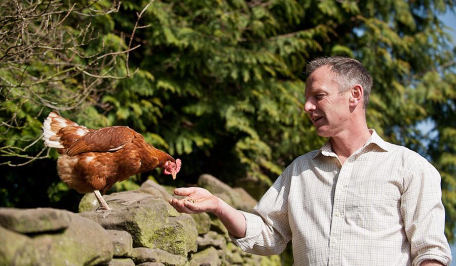 Bowland Forest Eggs