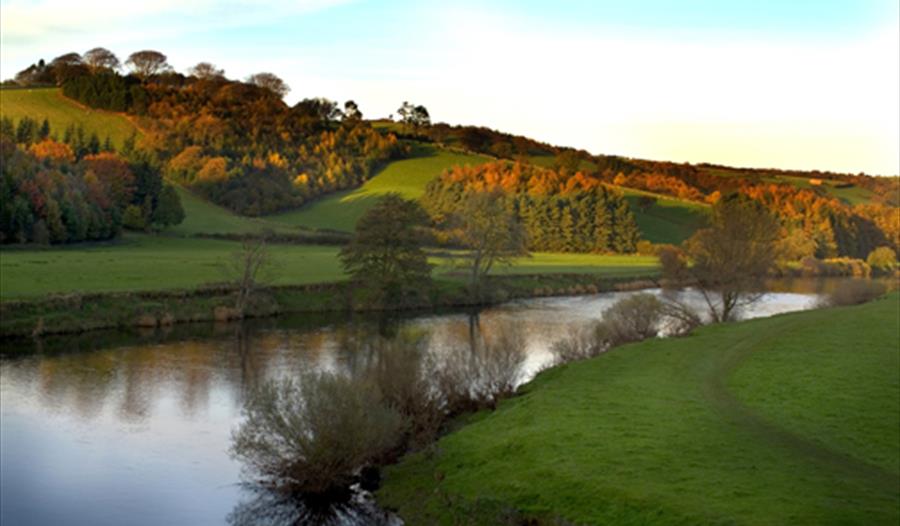 Bull Beck Picnic Site