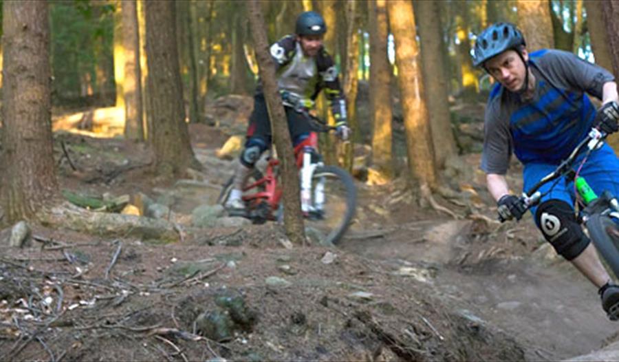 Healey Nab Mountain Bike Trails