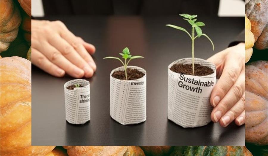 Sow & Grow
