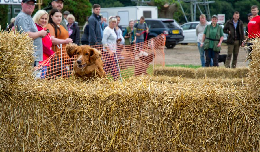 Lancashire Game and Country Festival