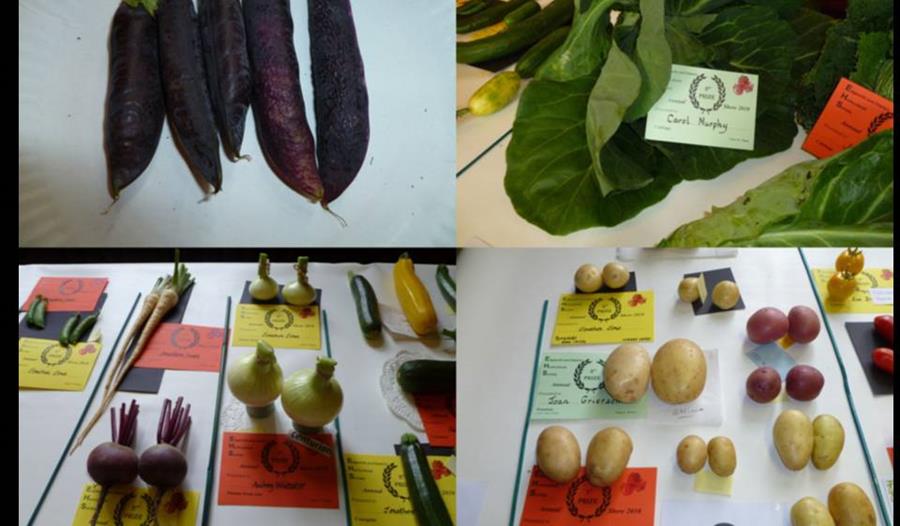 Edgworth & District Garden Club Annual Show