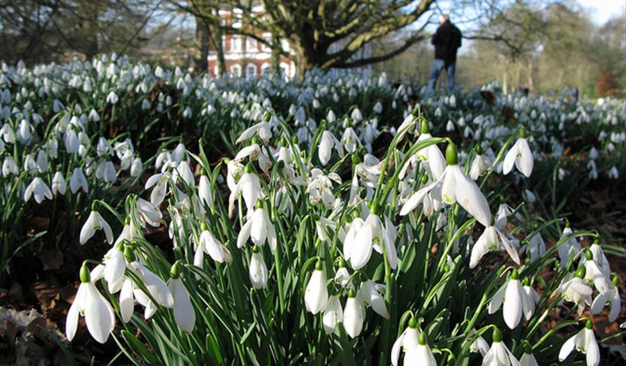 Snowdrop weekends