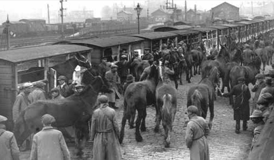 The War Horse Walking Route