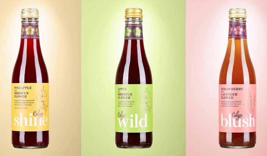 Calyx Drinks Ltd