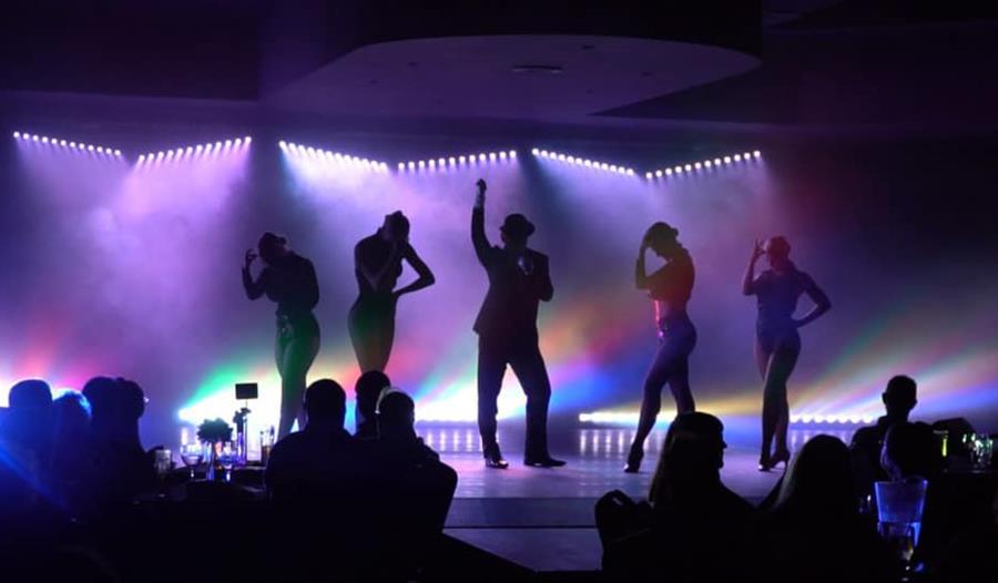 Performers, on stage, in the spotlight.