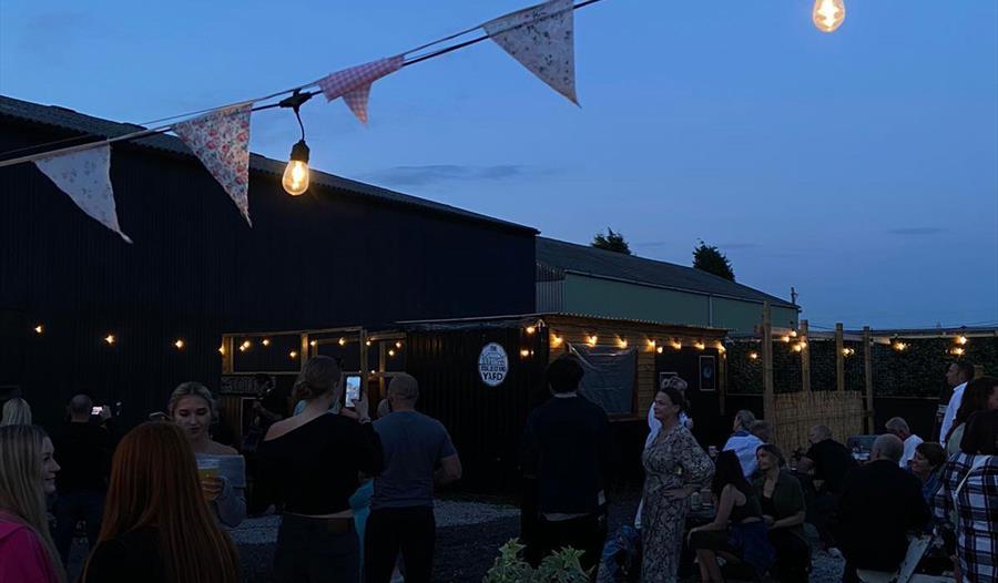 The Collecting Yard: Party in the Farm Yard
