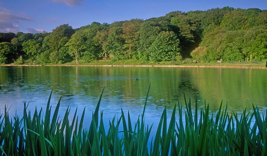 Yarrow Valley Country Park