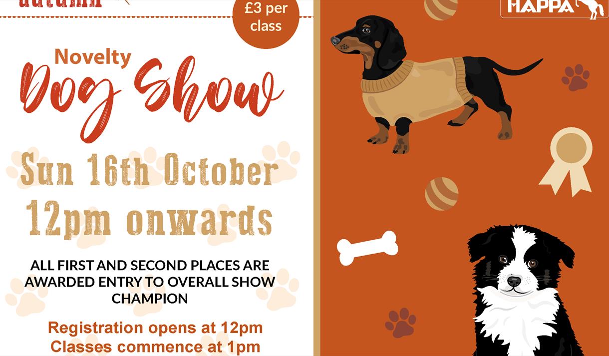 Novelty Dog Show