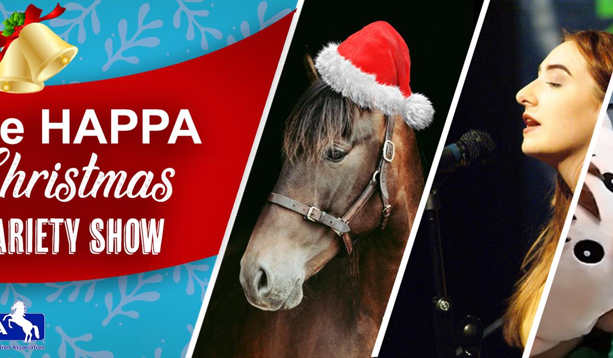 HAPPA Christmas Variety Show poster