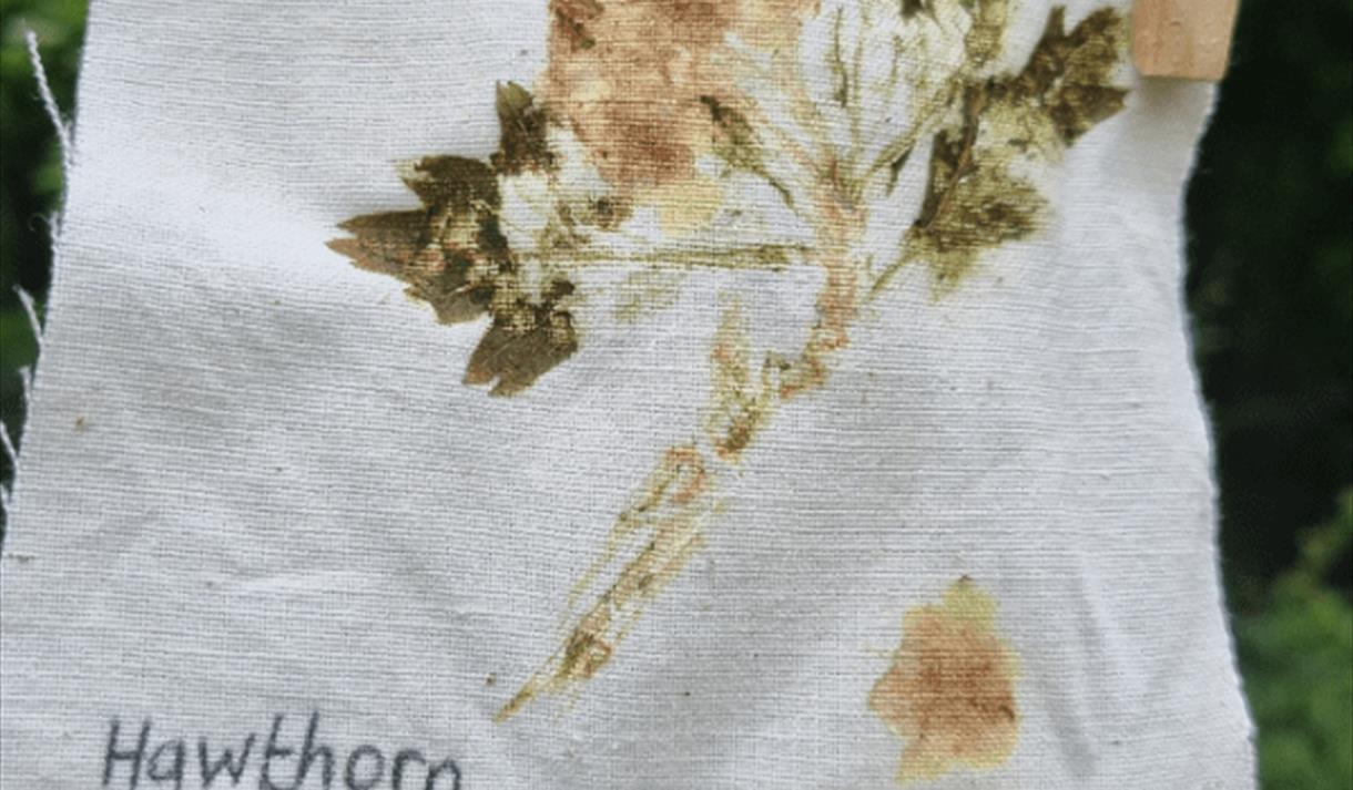 British Textile Biennial: Dye Workshop drop in event