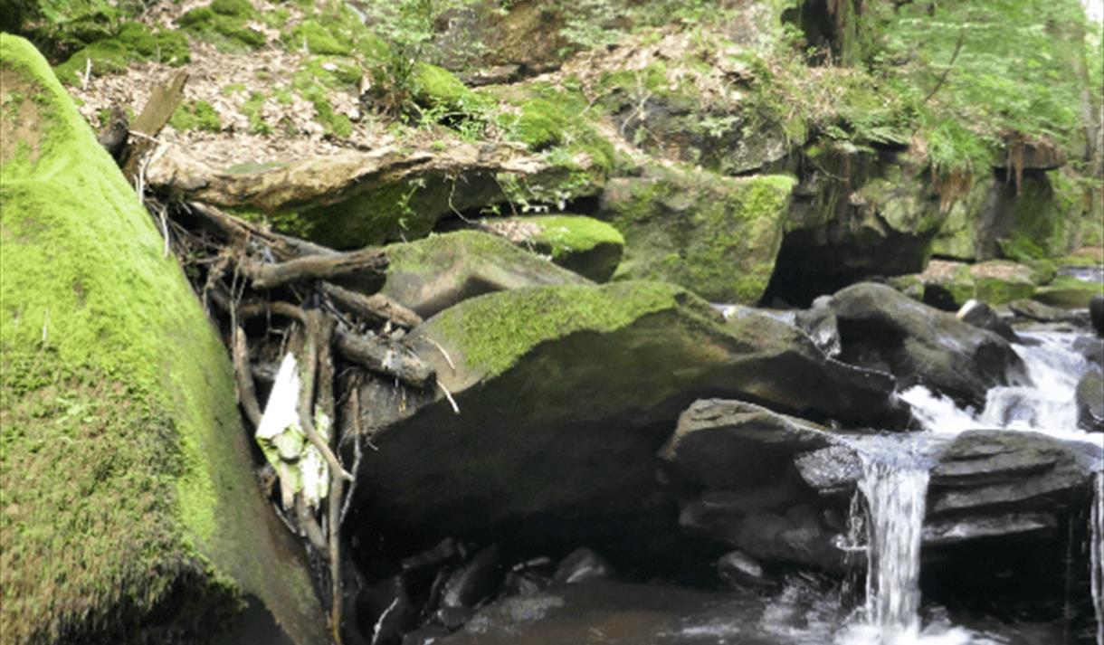 Stephen Oldfield: Supernatural Rossendale