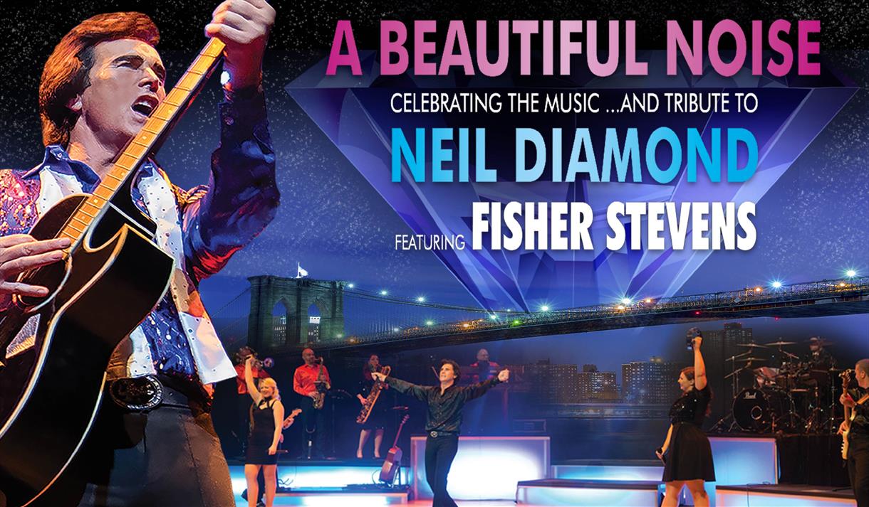 A Beautiful Noise Show