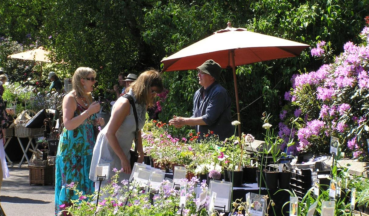 Spring Plant Hunters' Fair at Hoghton Tower