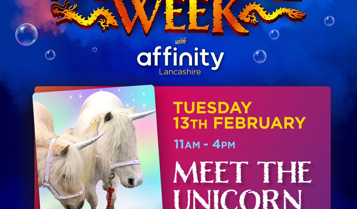 Meet the Unicorn Ponies