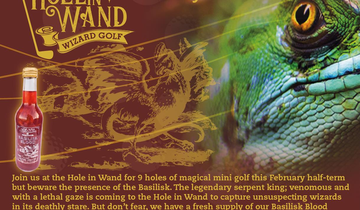 Harness the power of the Basilisk this February half-term