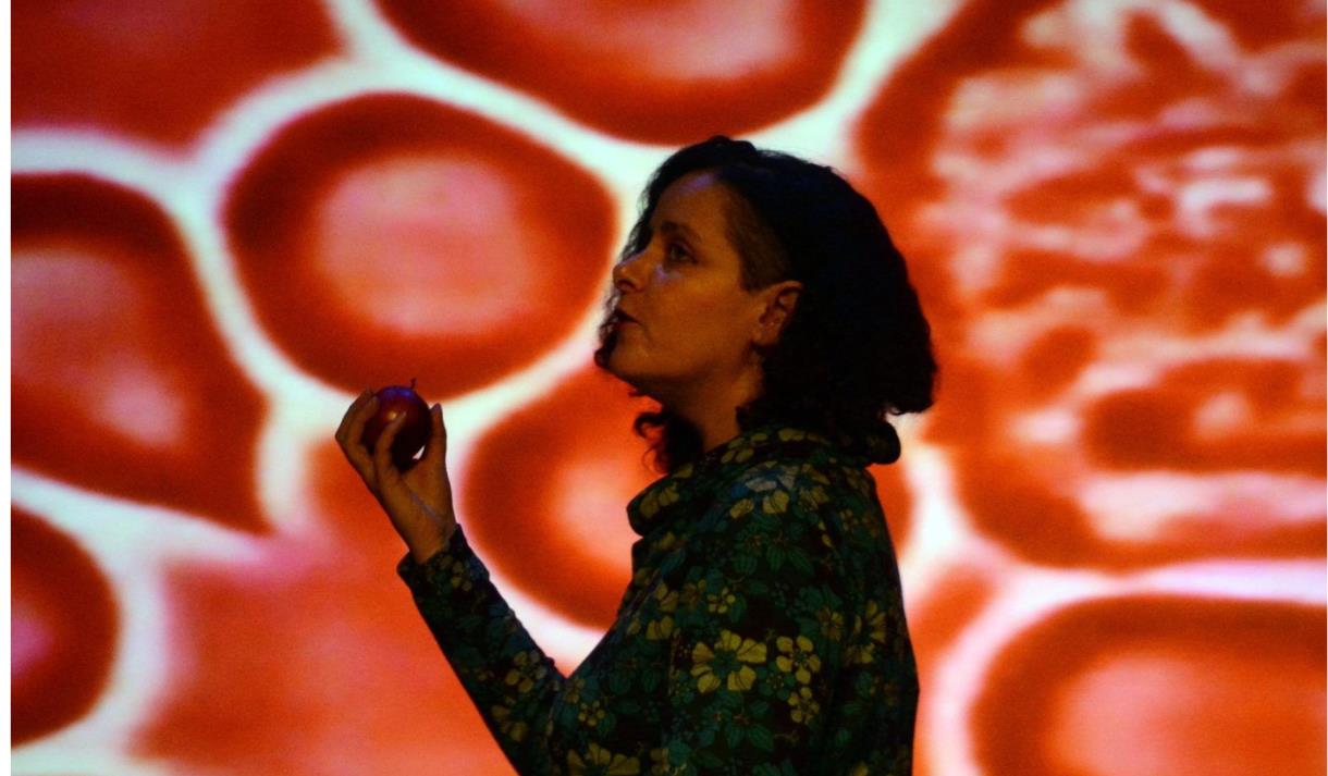 Avital Raz: Unnatural Cycles: A Ghost Story