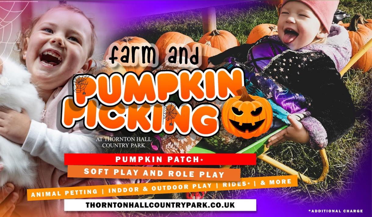 Toddler Pumpkin Picking at Thornton Hall Farm