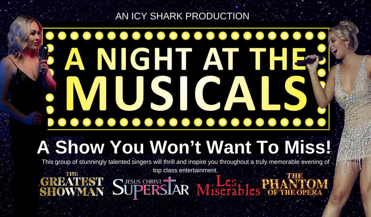 A Night at the Musicals
