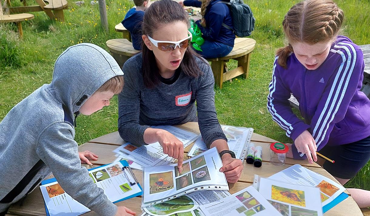 Wildlife Watch Group at Heysham Nature Reserve