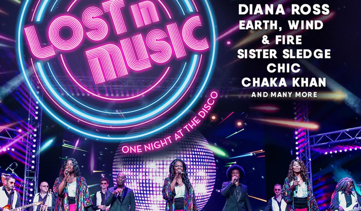 LOST IN MUSIC: ONE NIGHT AT THE DISCO