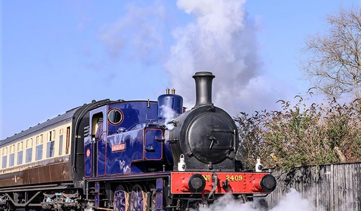 20th year Anniversary/Steam Gala